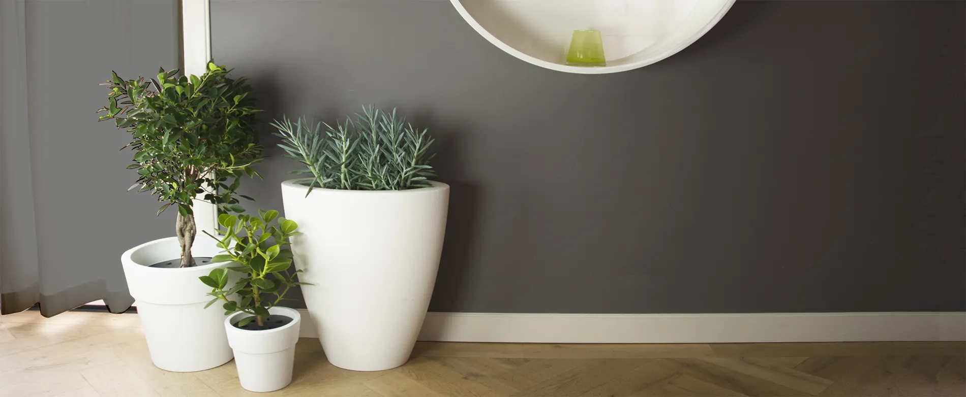 Plantensteun Bud Thema Antislip 5-delig